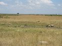 IMG_0168