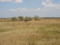 IMG_0169