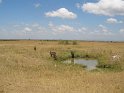 IMG_0171
