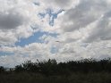 IMG_0173