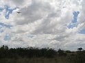 IMG_0174