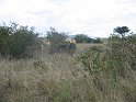 IMG_0175