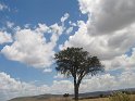 IMG_0176