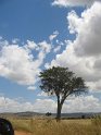 IMG_0177