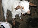 IMG_0188