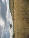 IMG_0194
