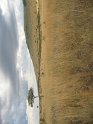 IMG_0195