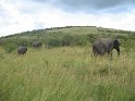 IMG_0196