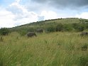 IMG_0197