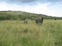 IMG_0198