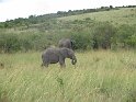 IMG_0203