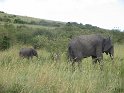 IMG_0204