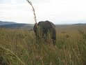 IMG_0206