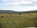 IMG_0207