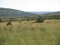 IMG_0208