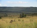 IMG_0209