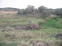 IMG_0211