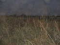 IMG_0220