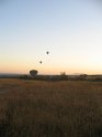 IMG_0224