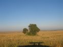 IMG_0225