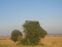 IMG_0226