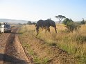 IMG_0229