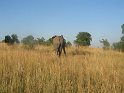 IMG_0230