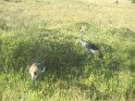 IMG_0235