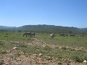 IMG_0240