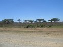 IMG_0244