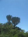 IMG_0246