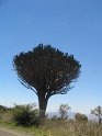 IMG_0247