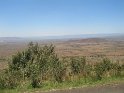 IMG_0248