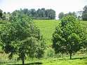 IMG_0251