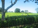 IMG_0252