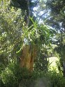 IMG_0254