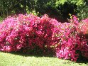 IMG_0255