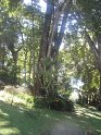IMG_0256
