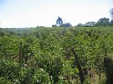IMG_0257