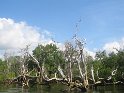 IMG_0262