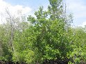 IMG_0264