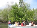 IMG_0265