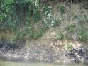 IMG_0266