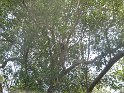 IMG_0268