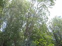 IMG_0269