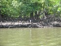 IMG_0270