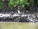IMG_0271