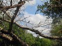 IMG_0272