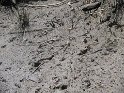 IMG_0275