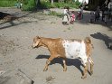 IMG_0277